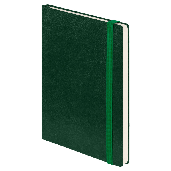 Ежедневник Voyage BtoBook недатированный, зеленый (без упаковки, без стикера) - купить оптом