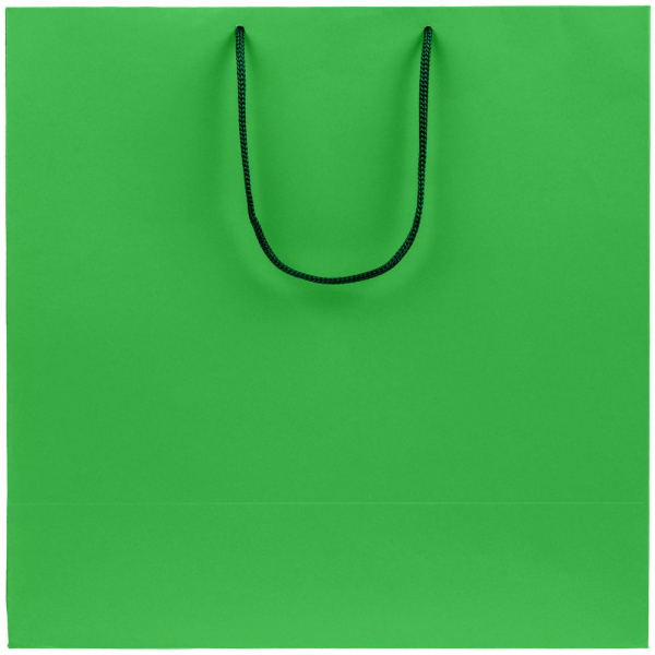 Пакет бумажный Porta L, зеленый - купить оптом