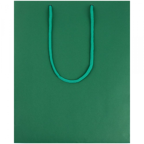 Пакет бумажный Wide, зеленый - купить оптом