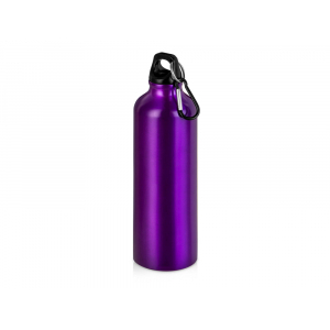 Бутылка Hip M с карабином, 770 мл, пурпурный - купить оптом