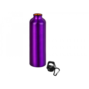 Бутылка Hip M с карабином, 770 мл, пурпурный - купить оптом