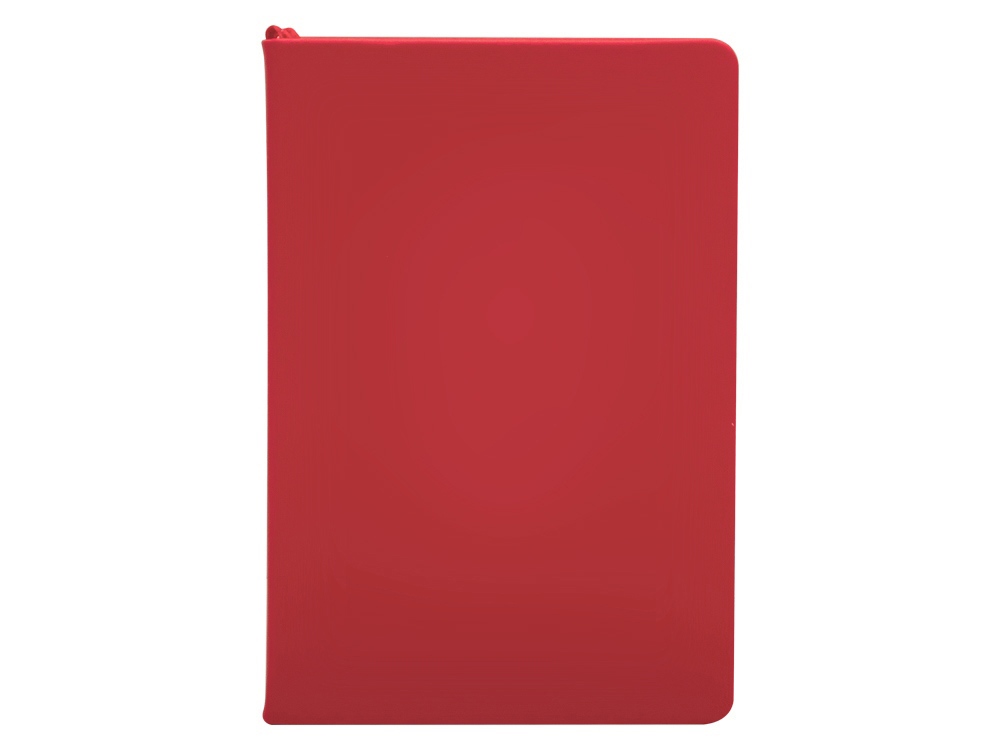 Бизнес-блокнот С3 софт-тач с магнитом, твердая обложка, 128 листов, красный - купить оптом
