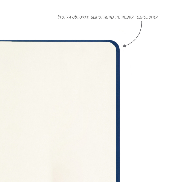 Ежедневник Alpha BtoBook недатированный, синий (без резинки, без упаковки, без стикера) - купить оптом