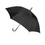 Зонт-трость Яркость, черный, фото 1