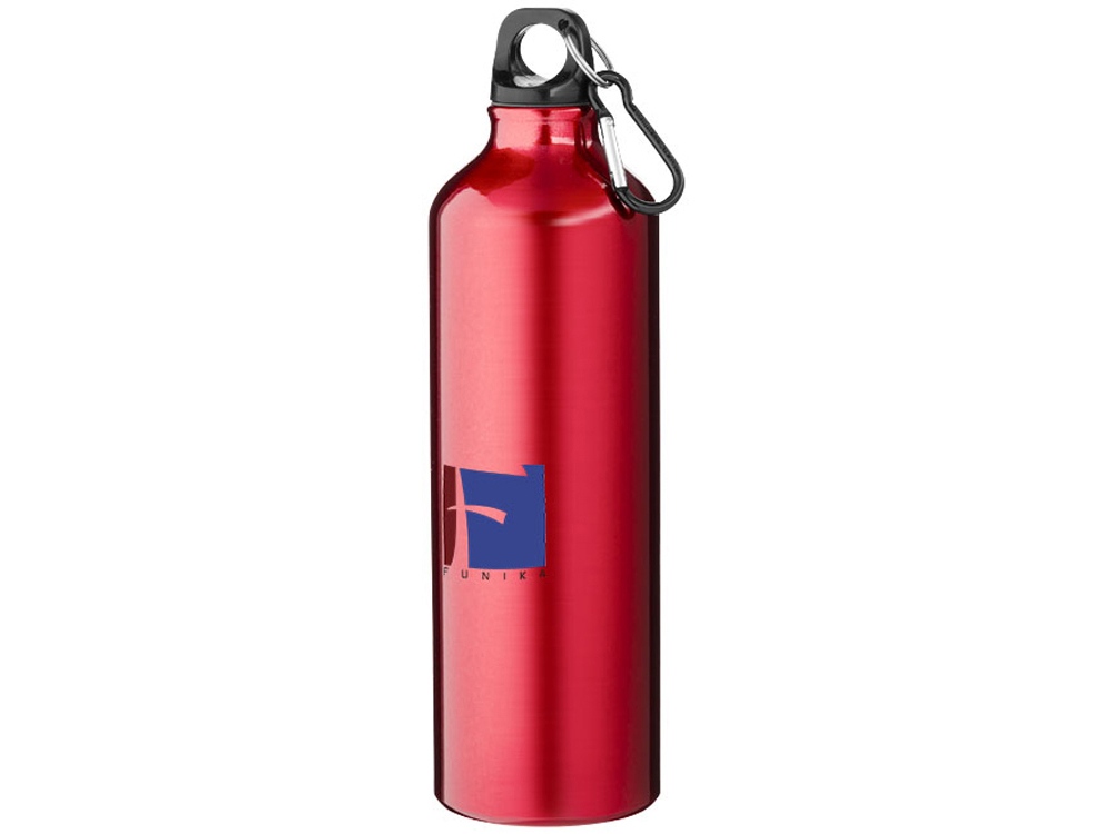 Алюминиевая бутылка для воды Oregon объемом 770 мл с карабином - Красный, красный - купить оптом