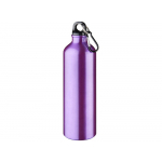 Алюминиевая бутылка для воды Oregon объемом 770 мл с карабином - Пурпурный, пурпурный