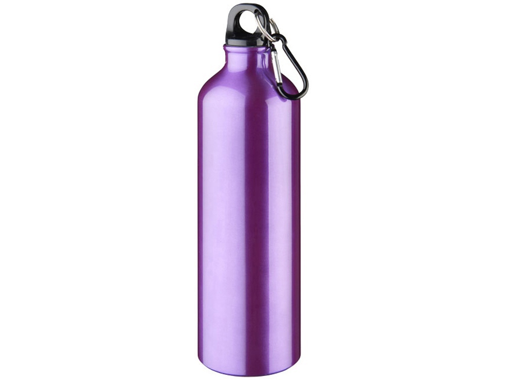 Алюминиевая бутылка для воды Oregon объемом 770 мл с карабином - Пурпурный, пурпурный - купить оптом
