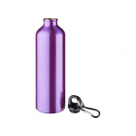 Алюминиевая бутылка для воды Oregon объемом 770 мл с карабином - Пурпурный, пурпурный, фото 2