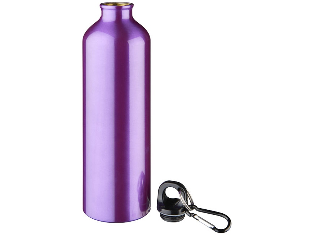 Алюминиевая бутылка для воды Oregon объемом 770 мл с карабином - Пурпурный, пурпурный - купить оптом