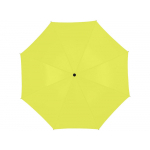 Зонт-трость Zeke 30, неоново-зеленый, зеленый, фото 1
