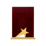 Награда Galaxy с золотой звездой, дерево, металл, в подарочной упаковке, коричневый, фото 1