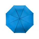 Зонт-трость Яркость, голубой, фото 3