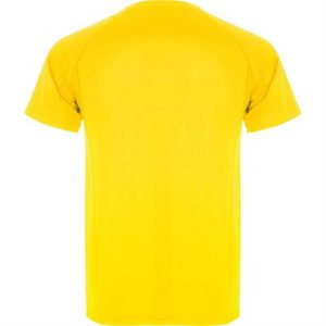 Спортивная футболка MONTECARLO мужская, ЖЕЛТЫЙ 2XL - купить оптом