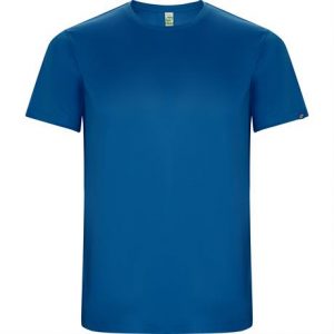 Спортивная футболка IMOLA мужская, КОРОЛЕВСКИЙ СИНИЙ 3XL - купить оптом