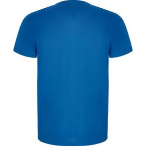 Спортивная футболка IMOLA мужская, КОРОЛЕВСКИЙ СИНИЙ 3XL - купить оптом