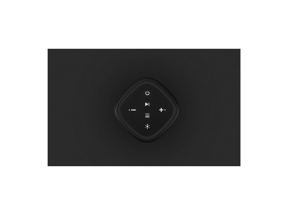 Портативная колонка TWS mySound Disco, 16 Вт, черный - купить оптом