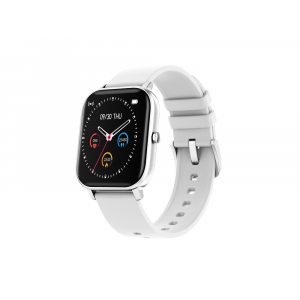 Смарт-часы Canyon SW-74 Wildberry , IP67, серебристый (Р) - купить оптом