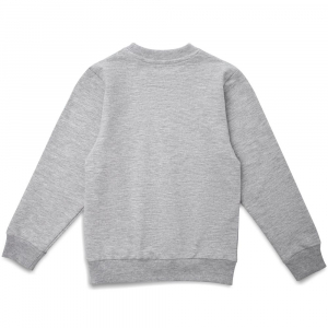 Свитшот детский Toima Kids, серый меланж - купить оптом