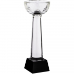 Кубок Cupture, большой, фото 1