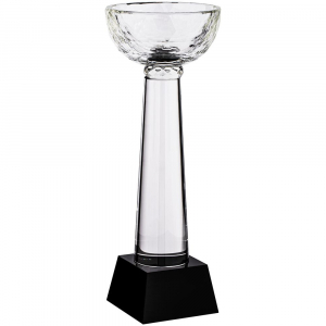 Кубок Cupture, большой - купить оптом
