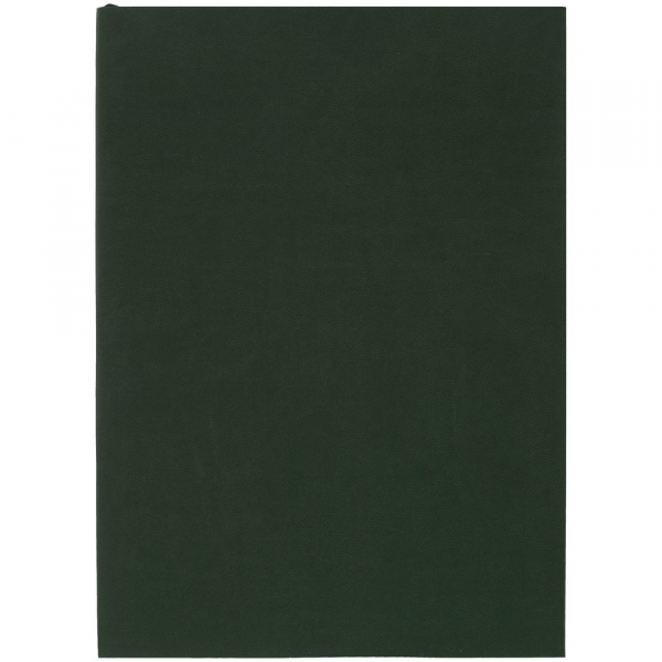Ежедневник Flat Light, недатированный, зеленый - купить оптом