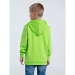 Худи детское Kirenga Kids 2.0, зеленое яблоко, фото 7