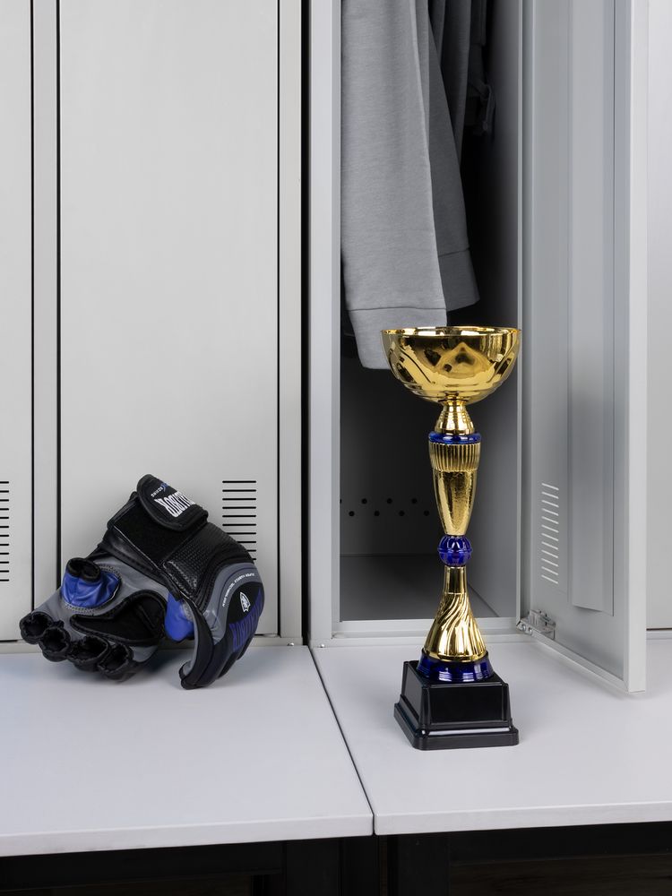 Кубок Awardee, средний, синий - купить оптом