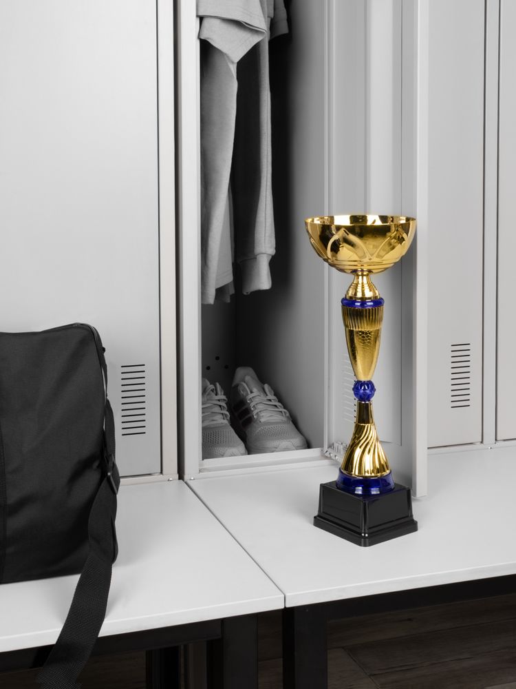 Кубок Awardee, большой, синий - купить оптом