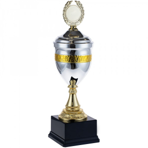 Кубок EnterPrize, серебристый - купить оптом