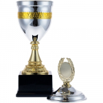 Кубок EnterPrize, серебристый, фото 2