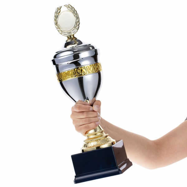 Кубок EnterPrize, серебристый - купить оптом