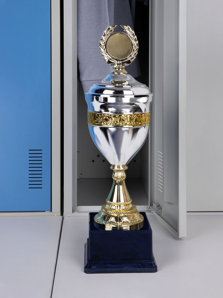 Кубок EnterPrize, серебристый - купить оптом