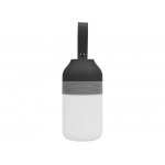 Портативный беспроводной Bluetooth динамик Lantern со встроенным светильником, черный/серебристый/белый, фото 2