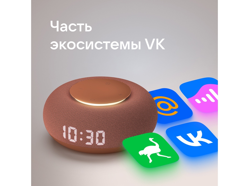 Умная колонка VK Капсула Мини с голосовым помощником Марусей, терракотовый - купить оптом